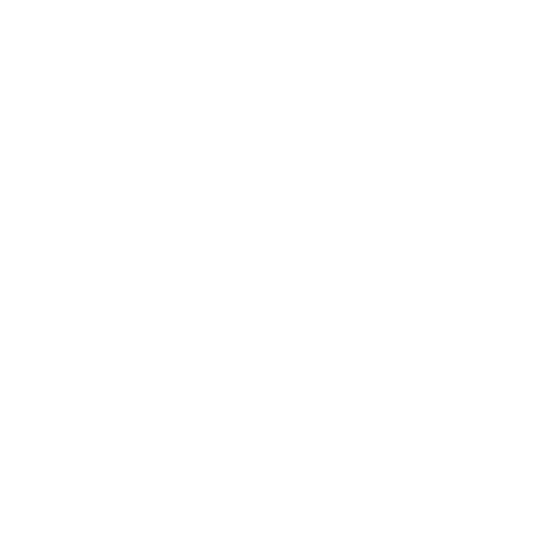 Bluesun Hotels and Resorts logo