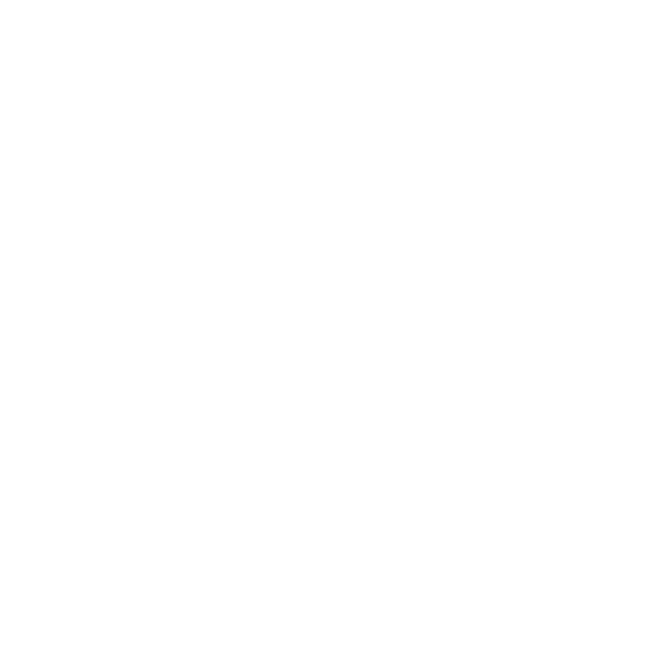 Velinac logo